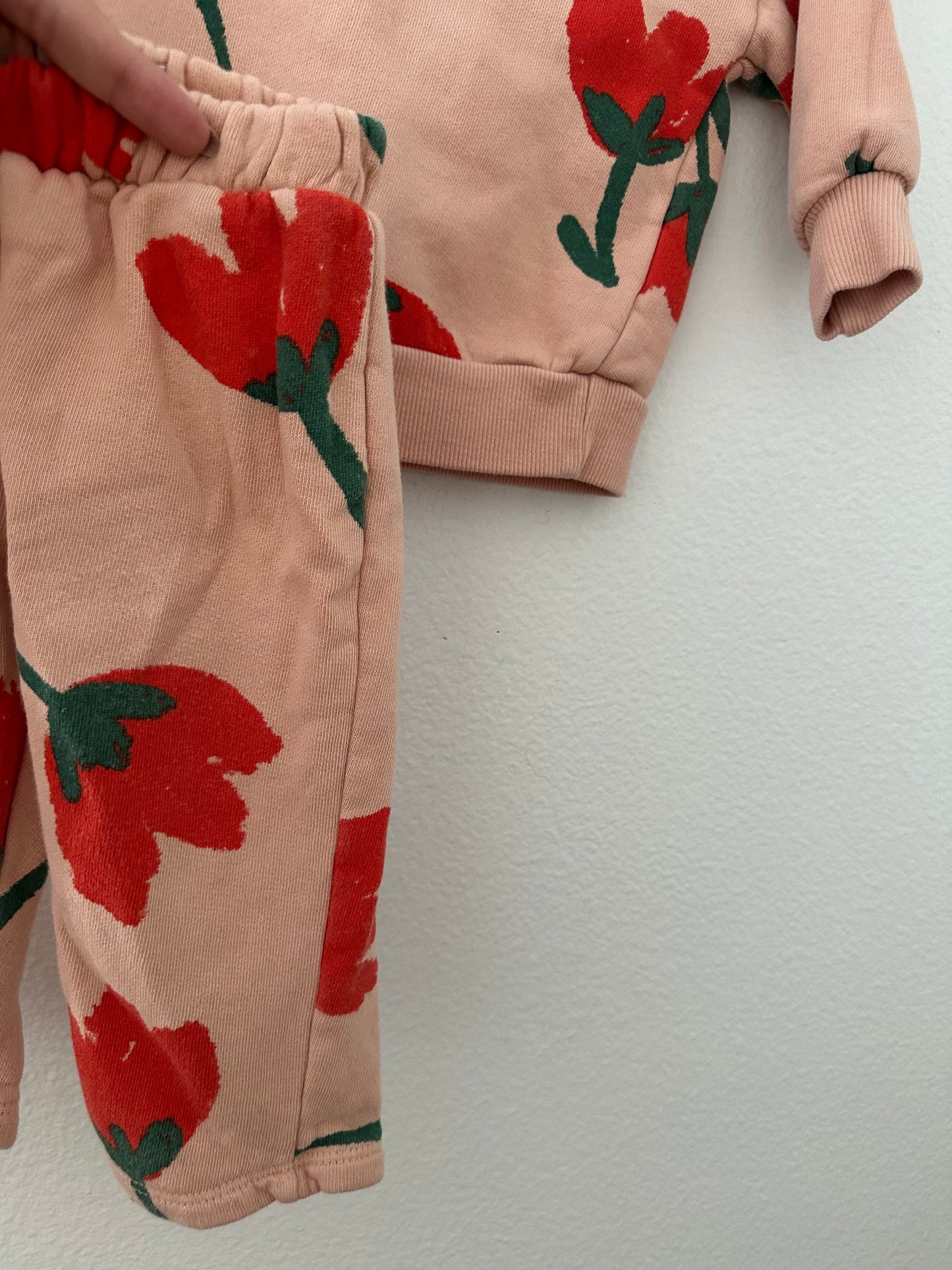 Bobo choses tulip sweatshirt set (6/12)