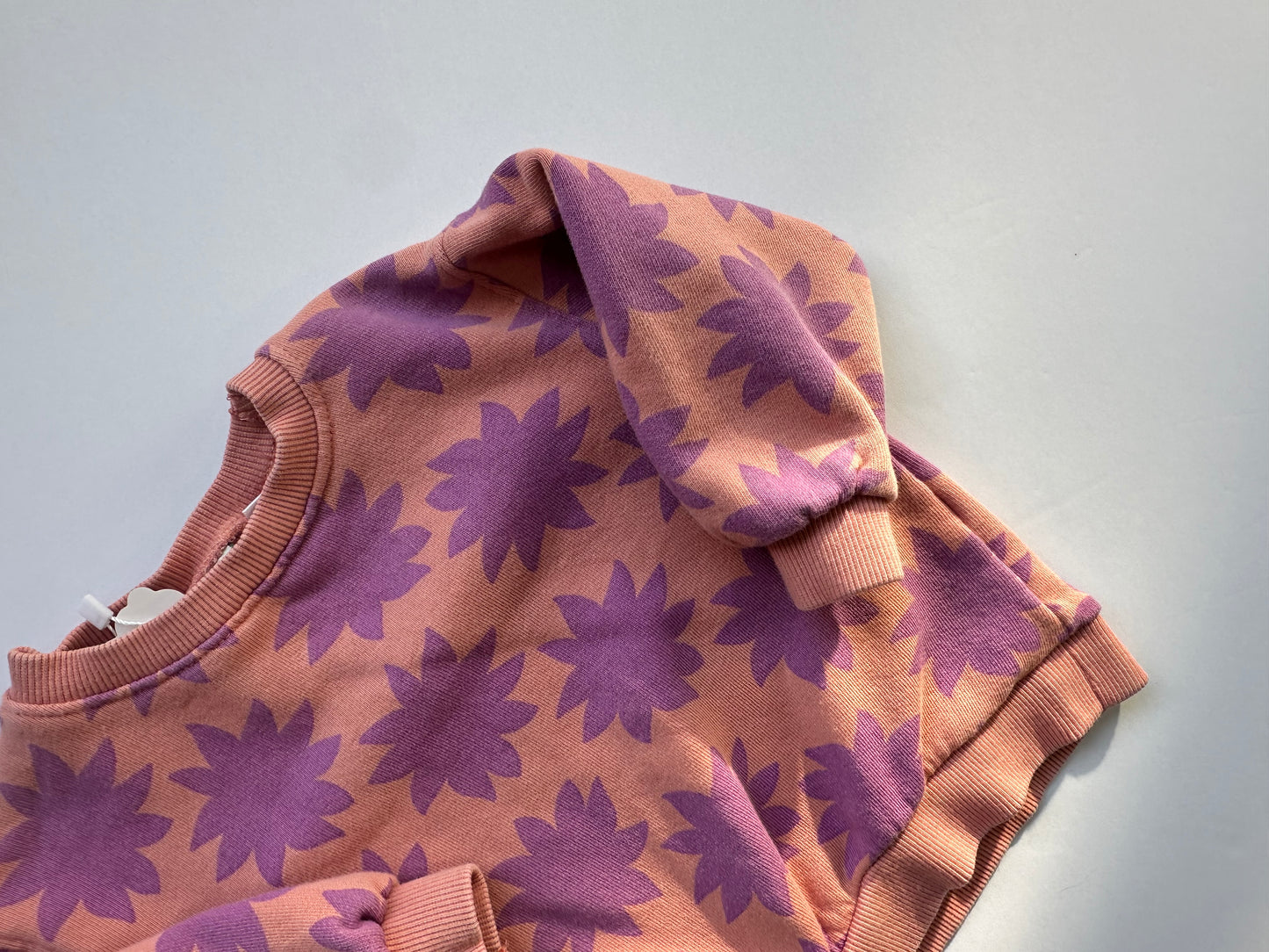 Zara pink/purple crewneck||9/12