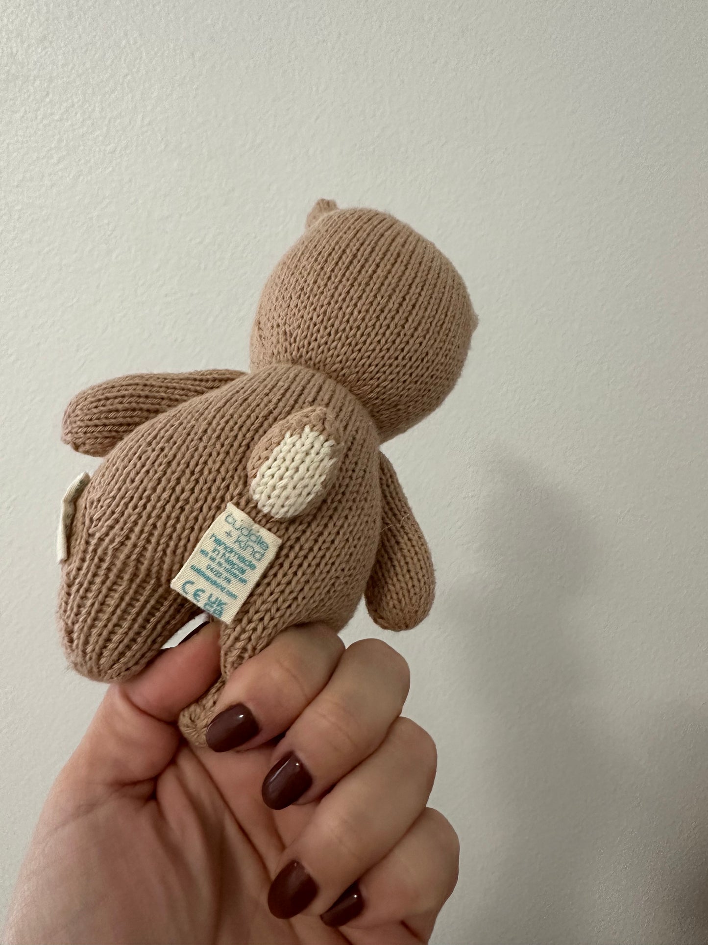 Cuddle and kind baby fawn