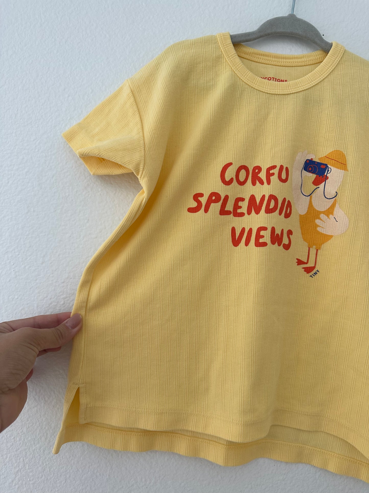 Tiny cotton tee (4T)