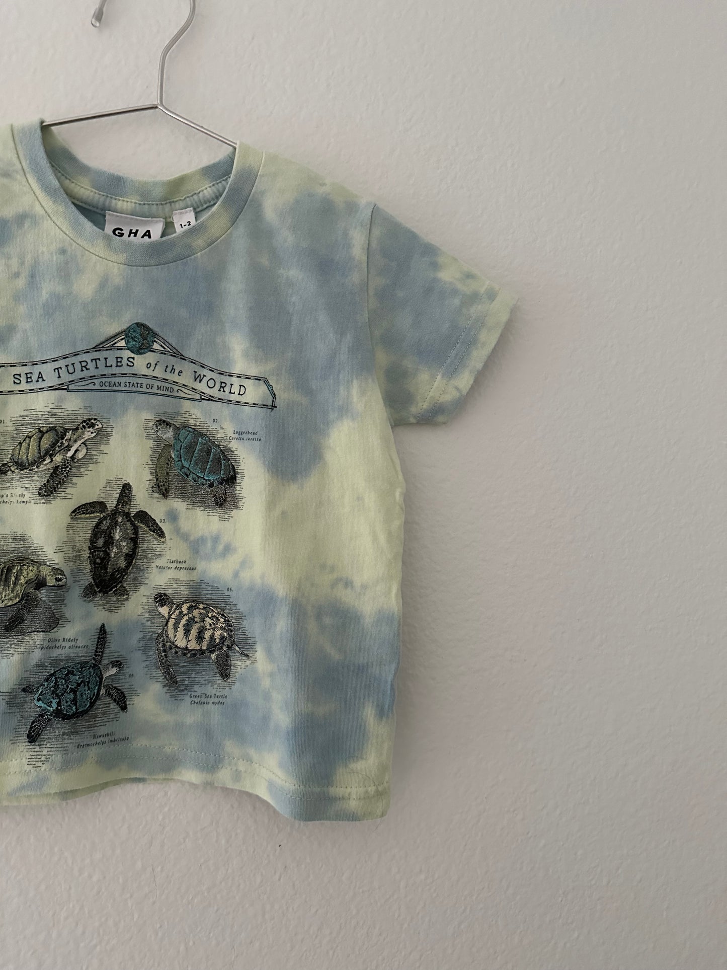 Ghana turtle tee || 1/2T