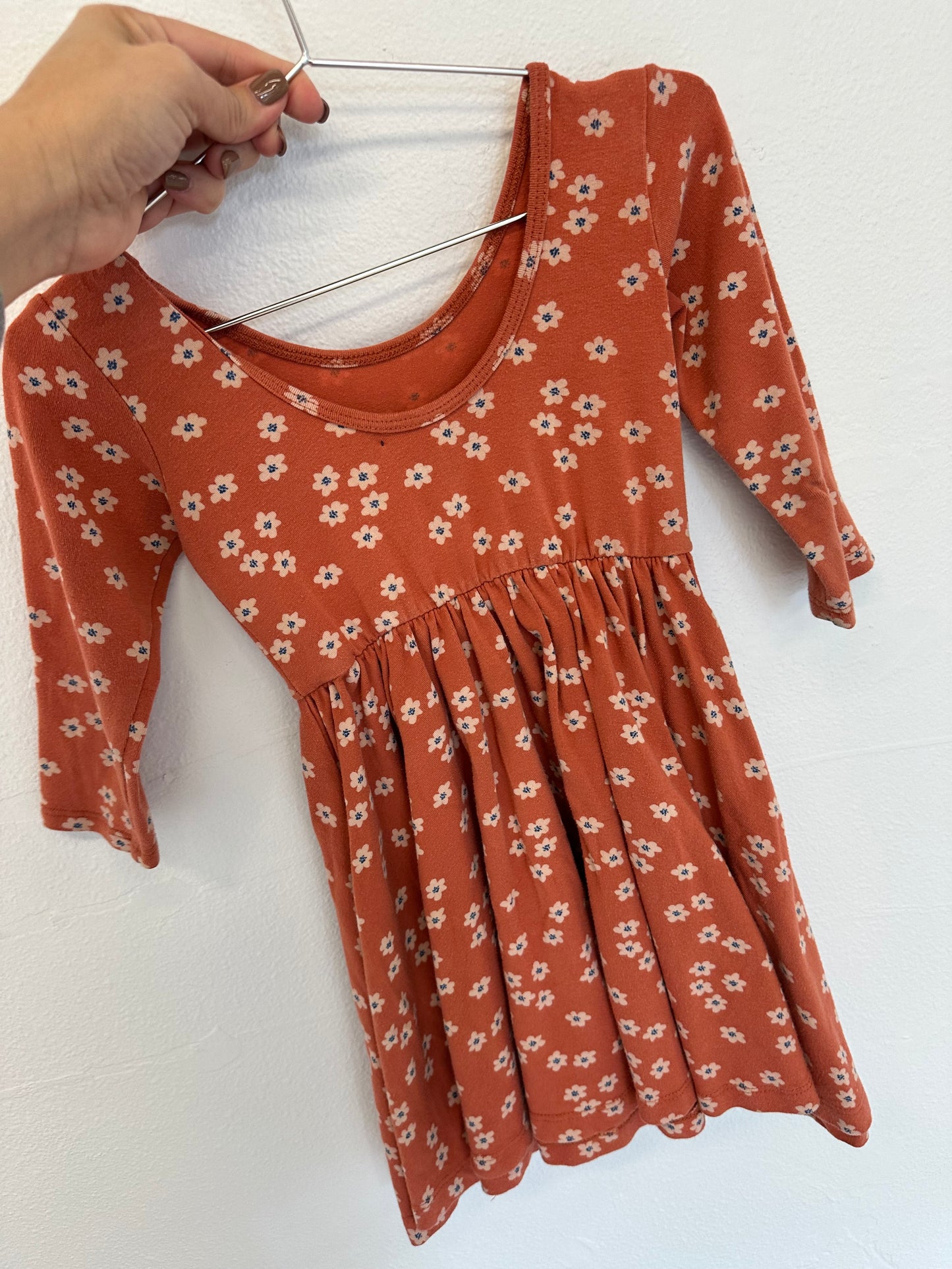 Alice + Ames dress || 4T