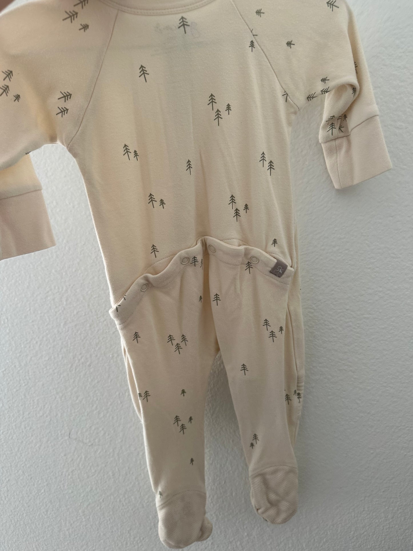 Goumi tree sleeper (6/12)