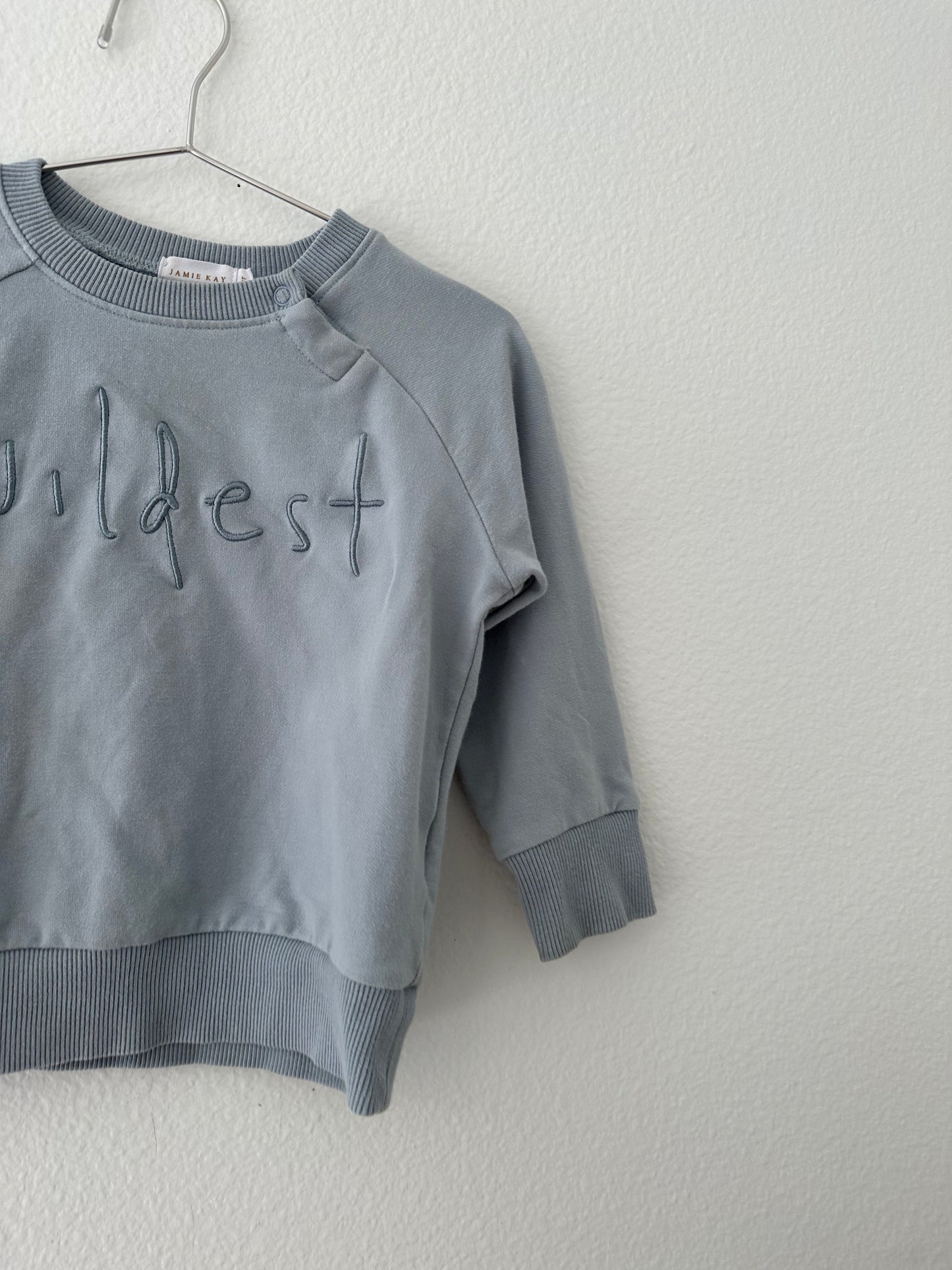 Jamie Kay wildest sweatshirt (2T)