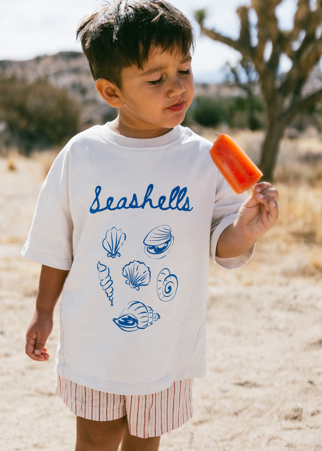 Fostered Collection seashells tee || 4