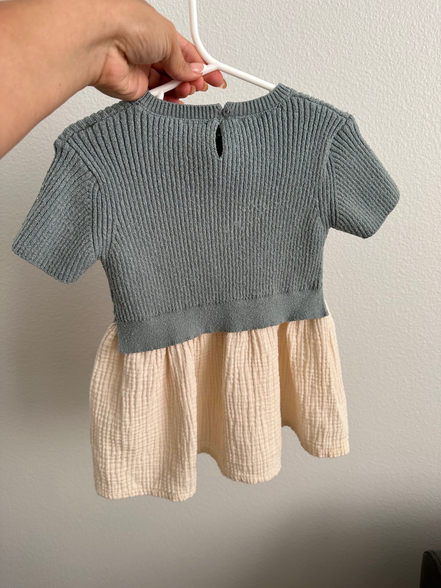 Zara dress (2/3T)