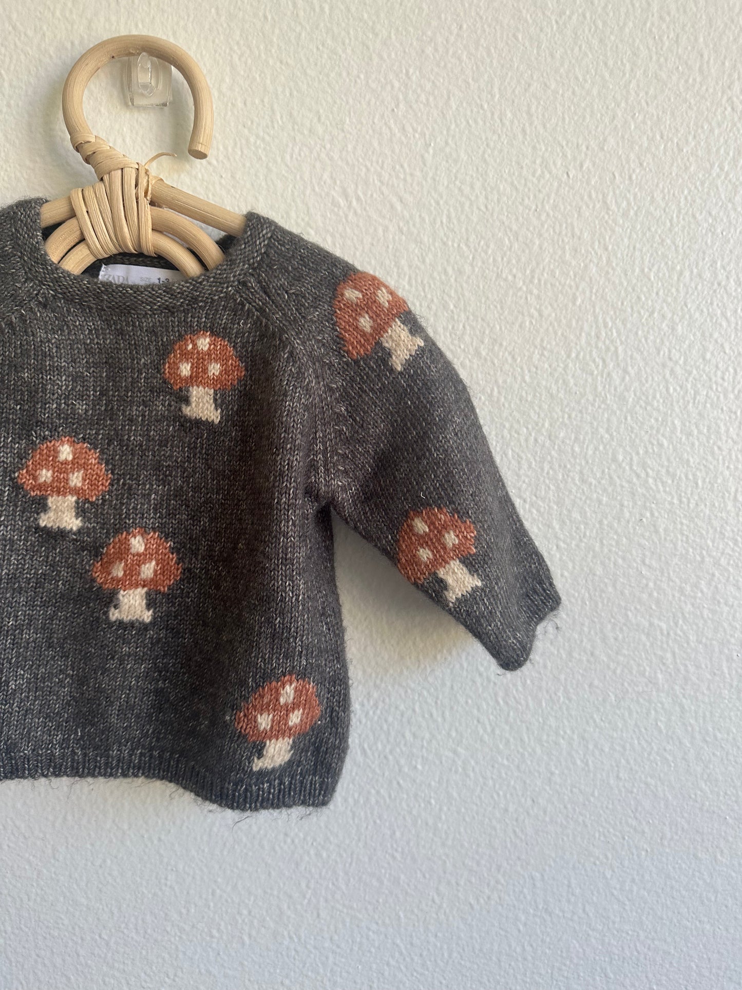 Zara HTF mushroom sweater (1/3)