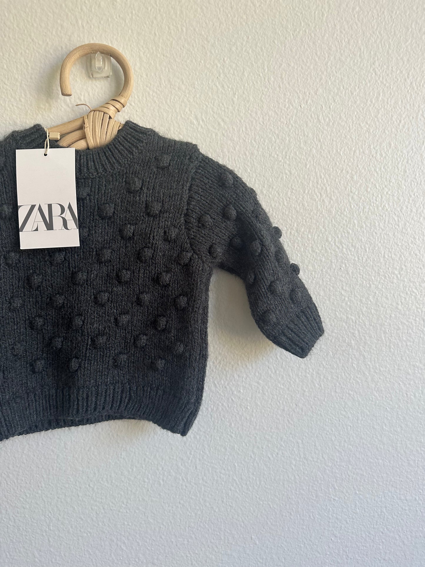 Zara pom sweater (1/3)