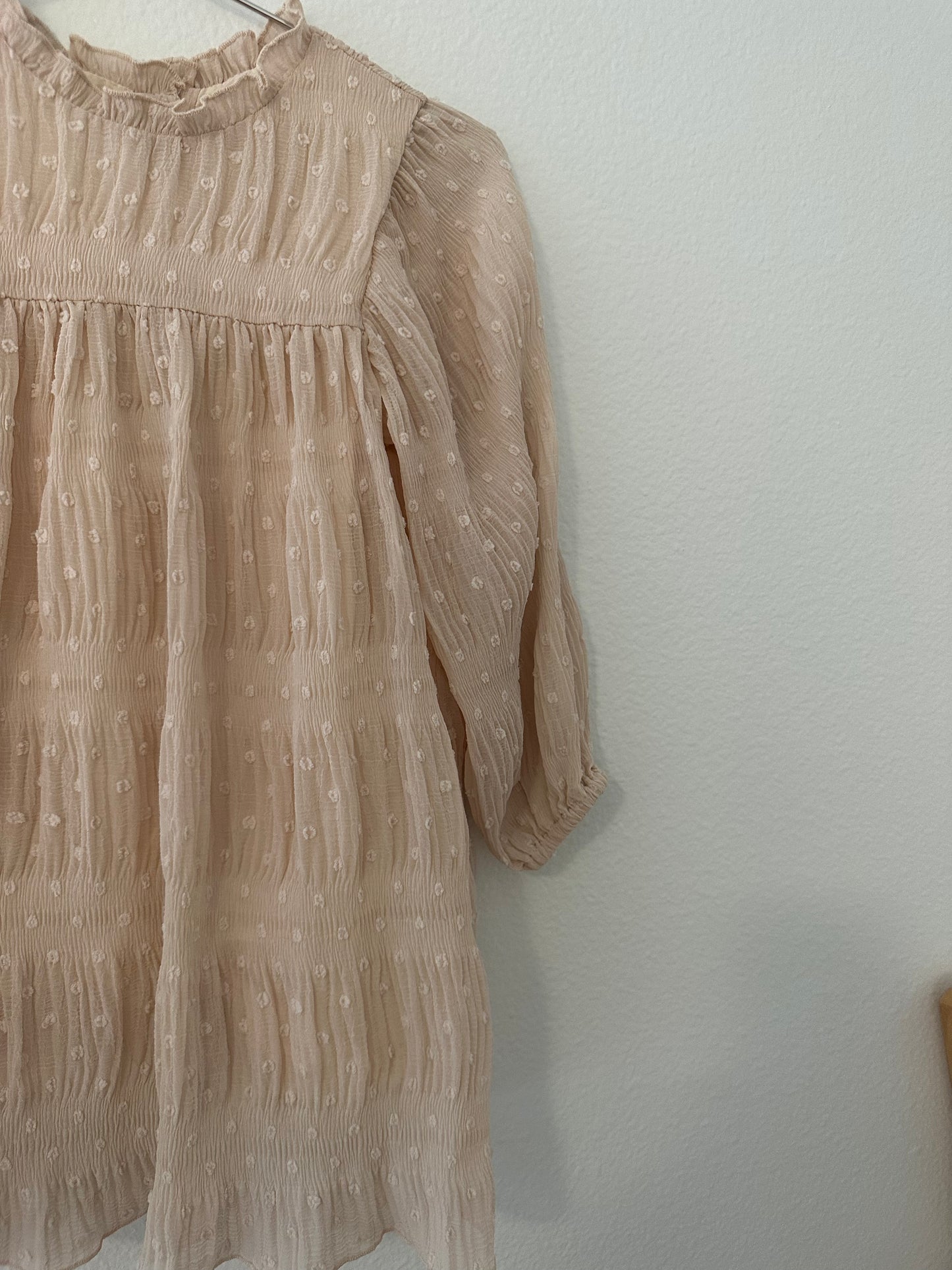 Zara blush Swiss dot dress (3/4)