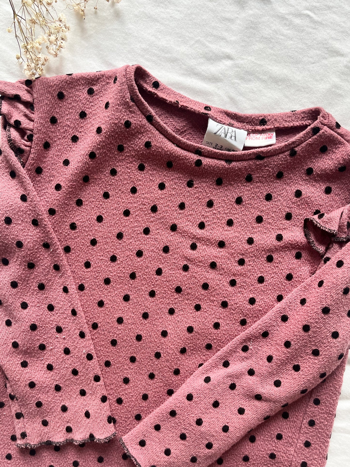 Zara polka dot top (2/3T)