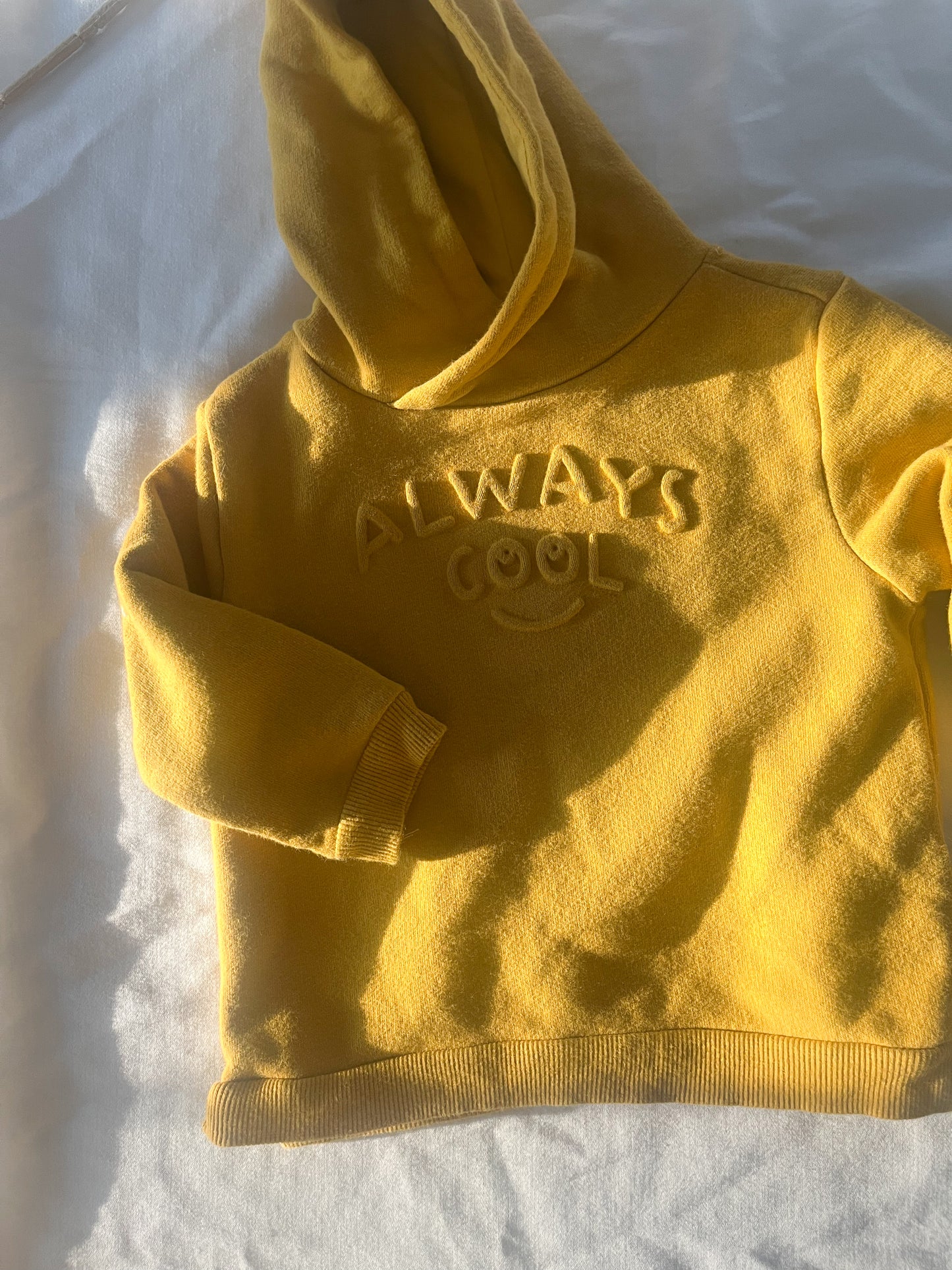Zara hoodie (6/9)