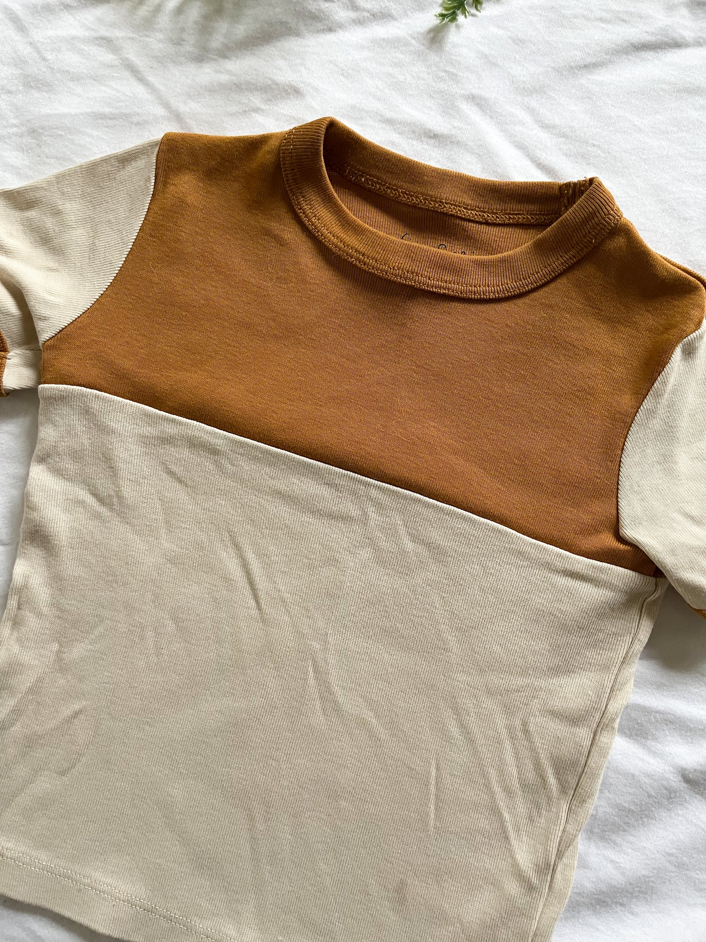 Fin & Vince tee (2/3)