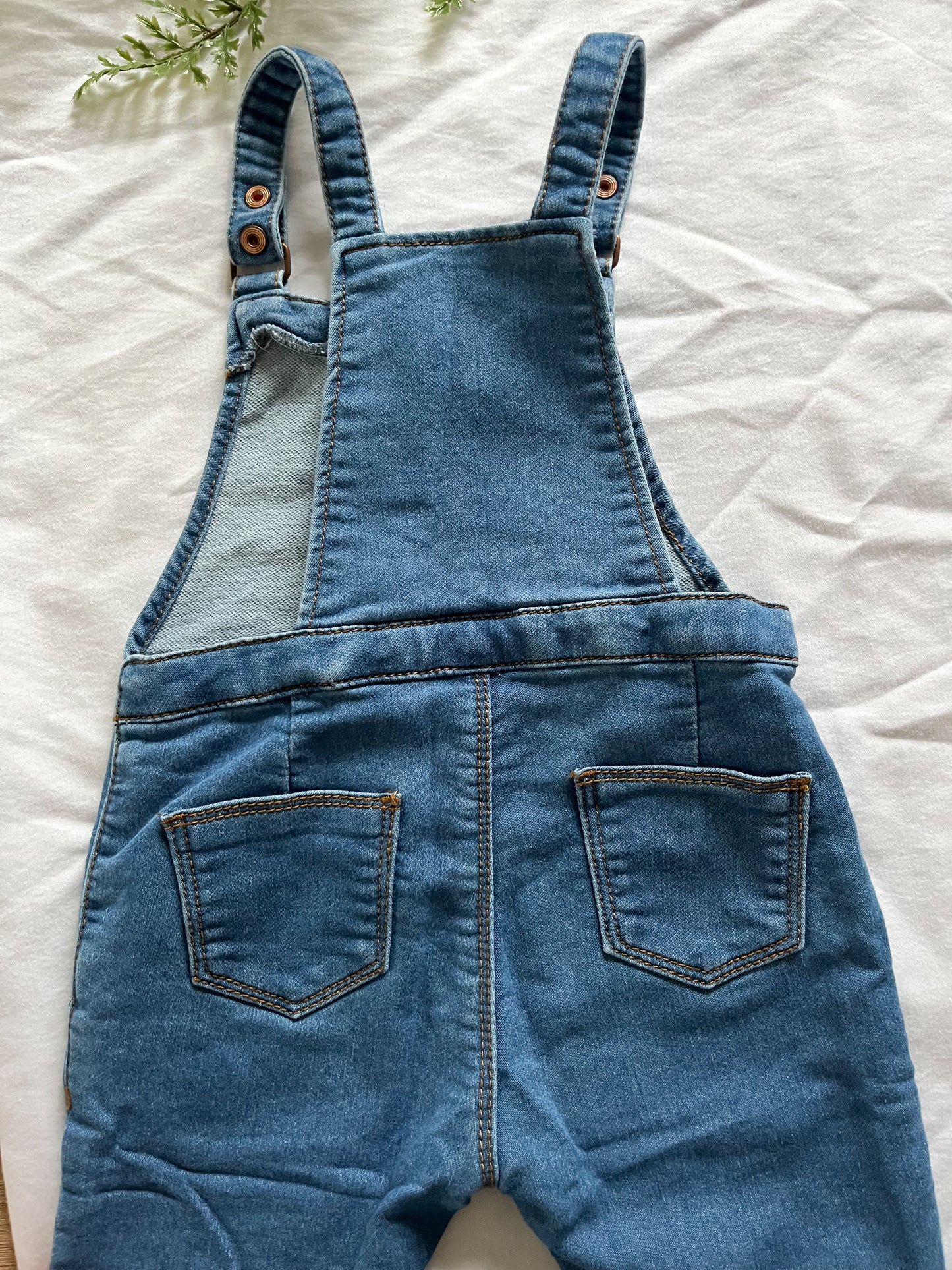 Zara denim overalls (18/24)