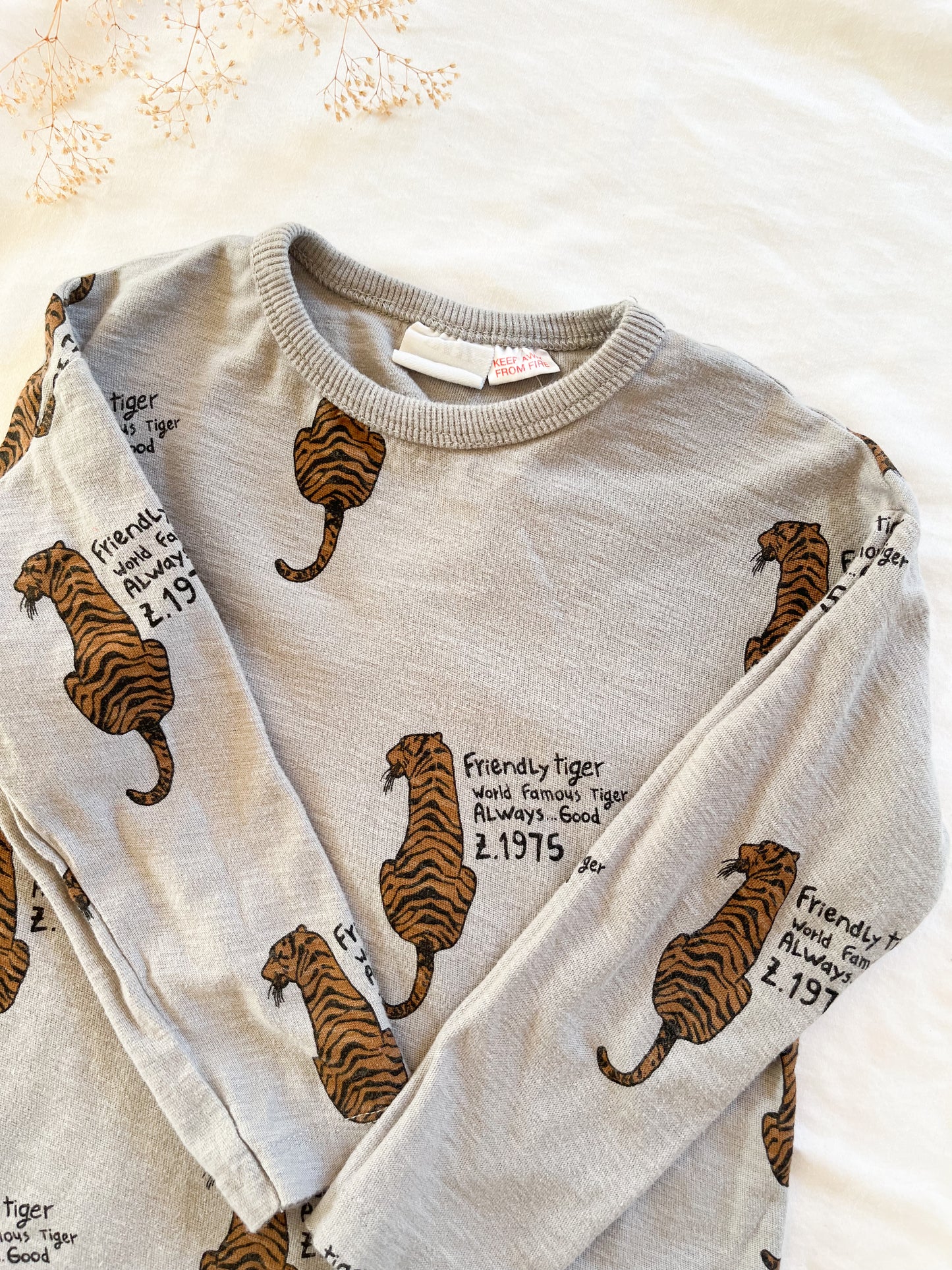 Zara tiger long sleeve (2/3T)