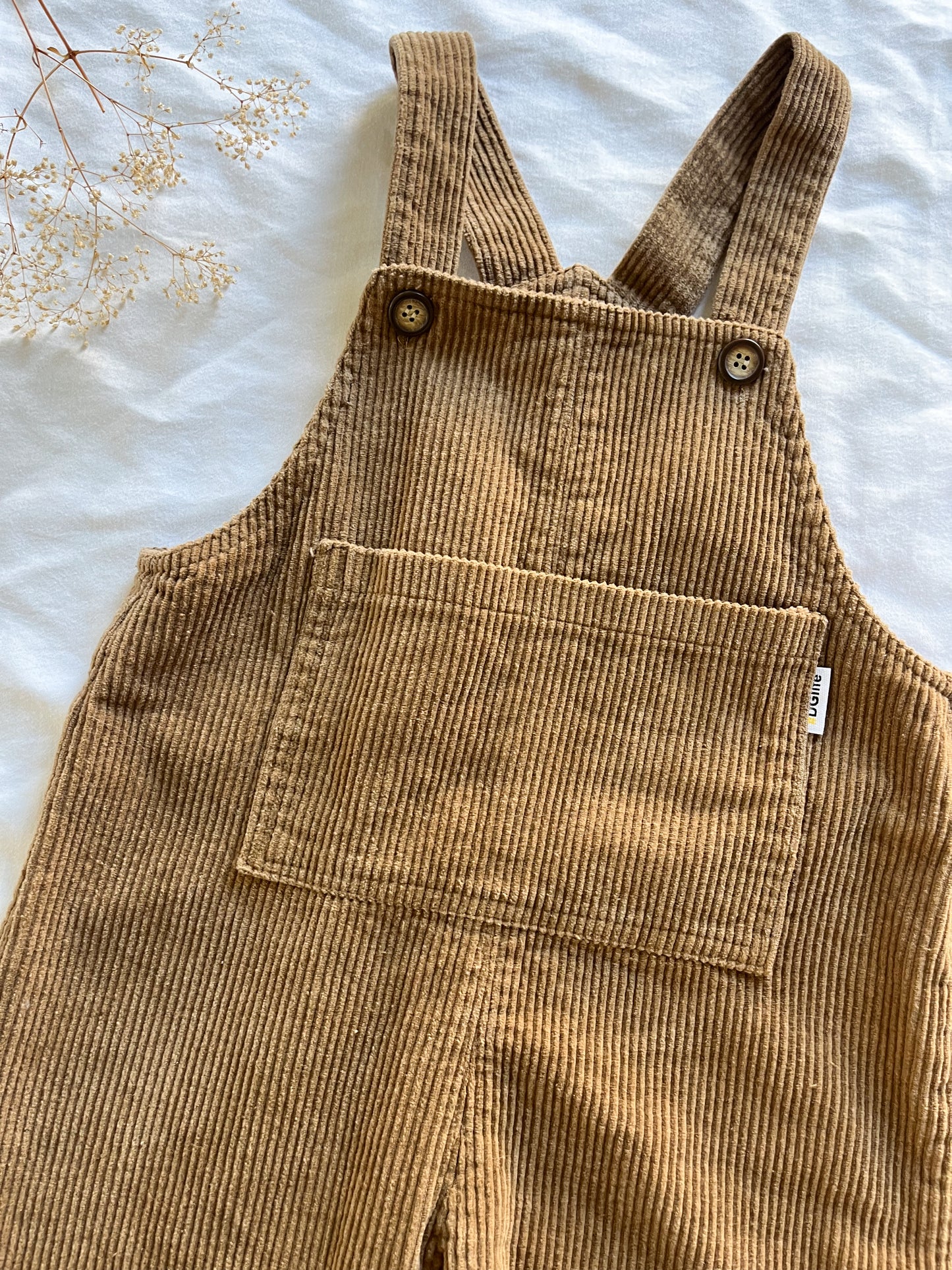 DGLife corduroy overalls (2/3T)