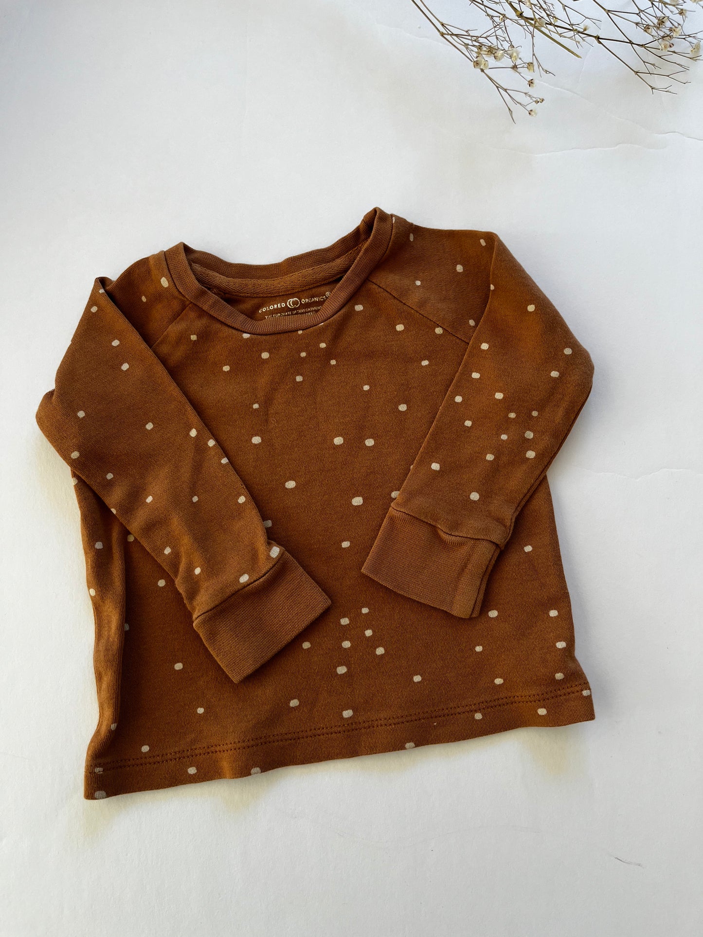 Colored organics set (6/12)