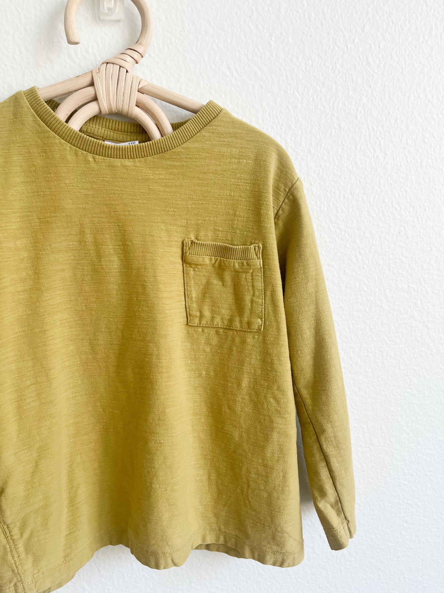 Zara basic long sleeve (4/5T)