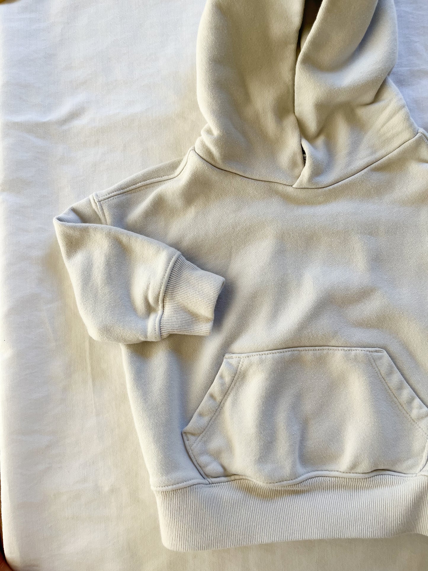 Gap neutral sweatshirt (12/18)