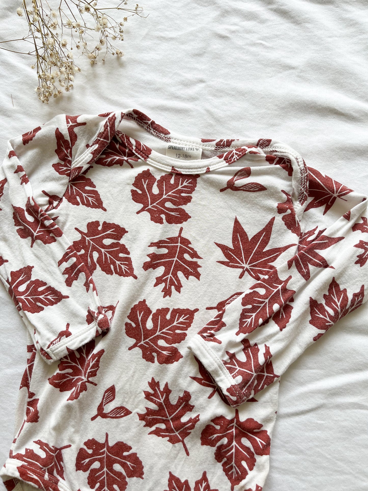 Spearmint love bamboo fall onesie ( 12/18)