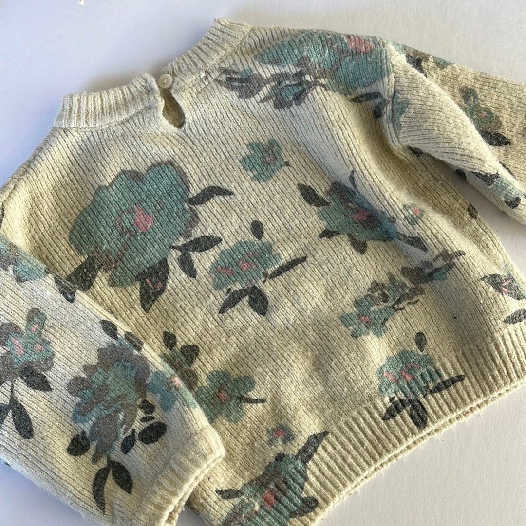 Zara floral knit (9/12)