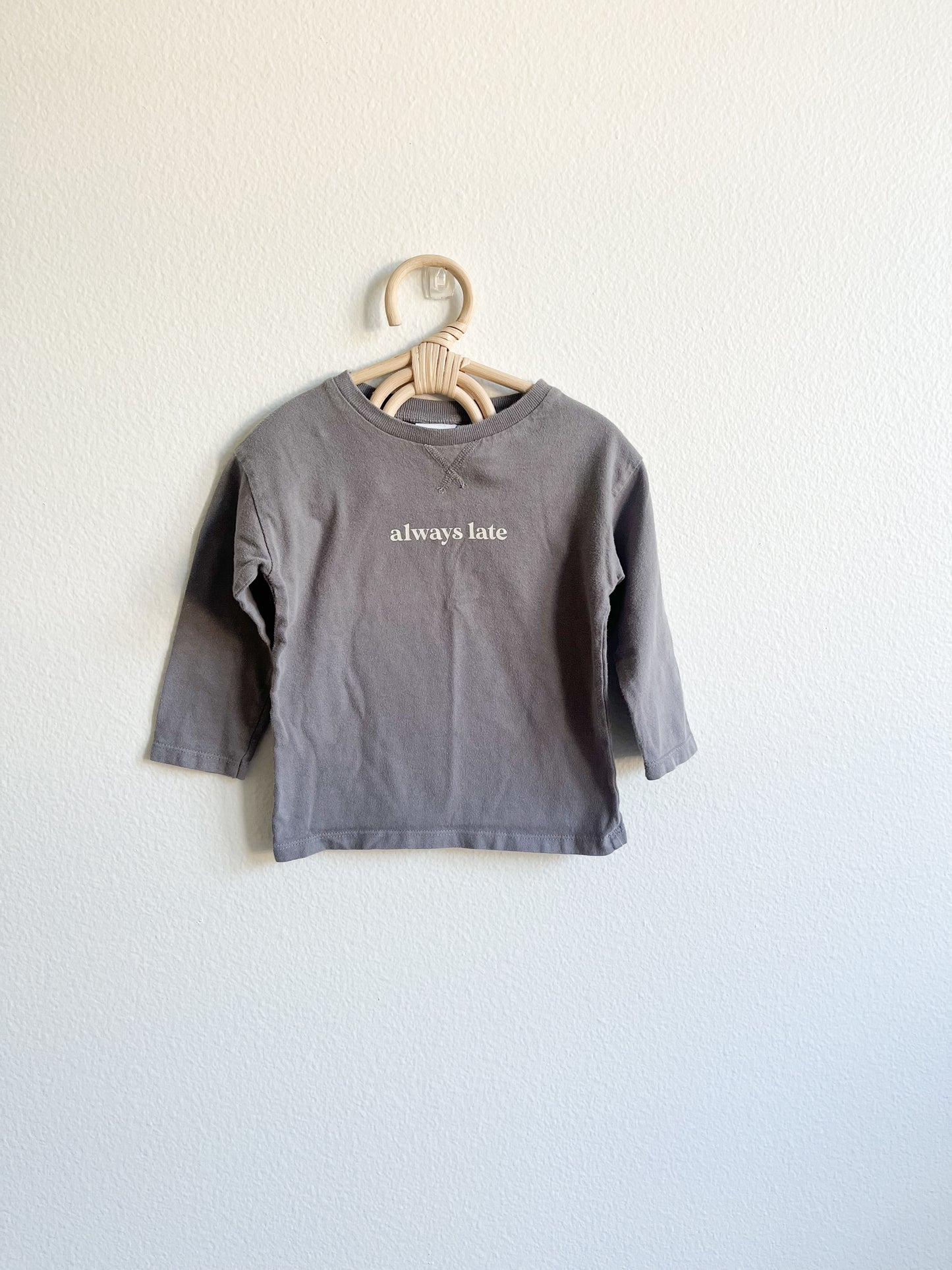 Zara long sleeve (12/18)