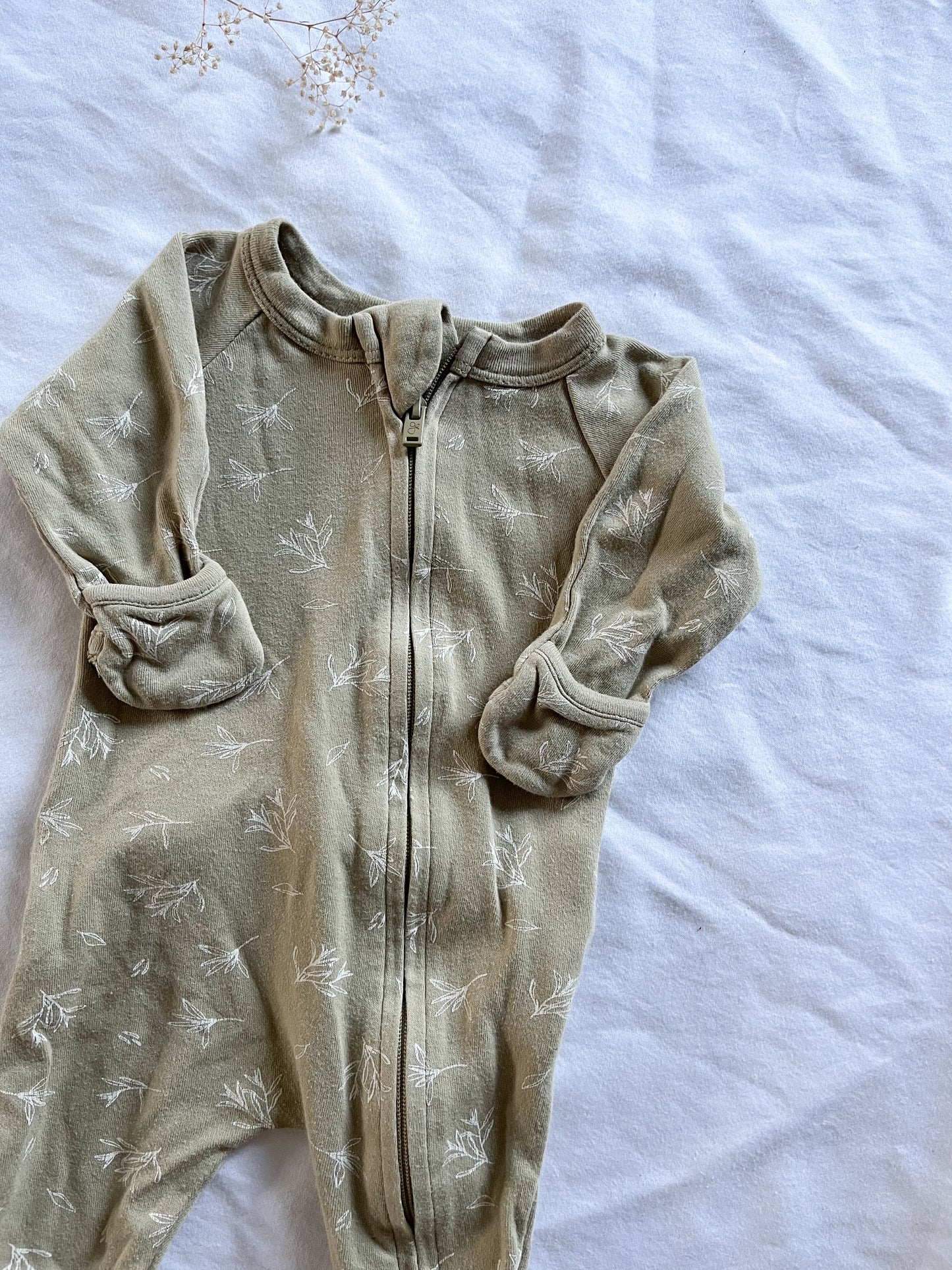 Goumi footie “branches”(NB)