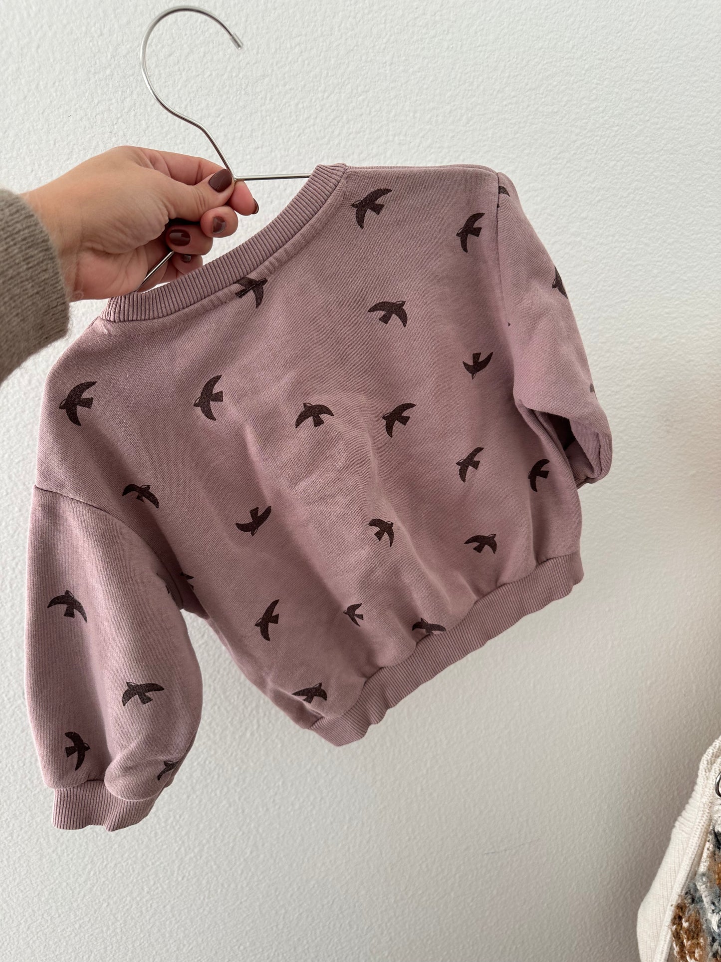 Zara birds sweatshirt (18/24)
