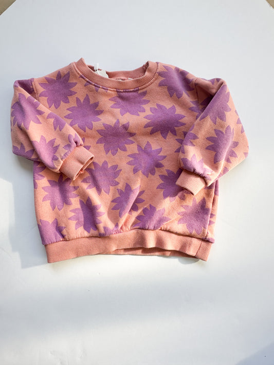 Zara pink/purple crewneck||9/12