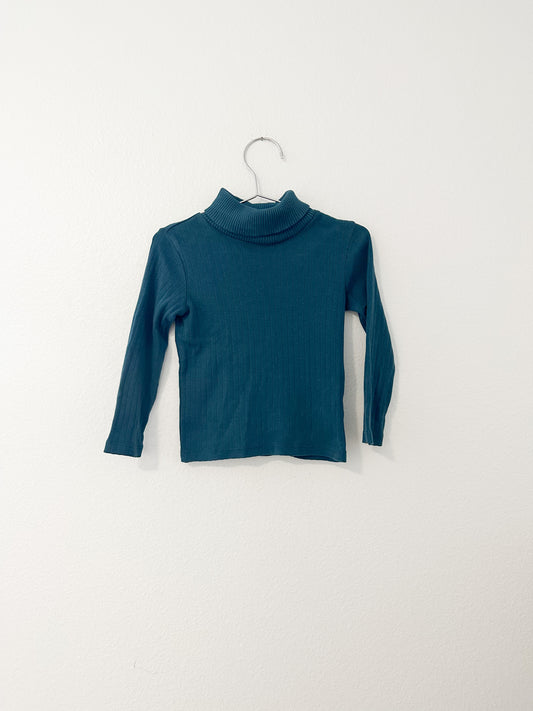 Fin & Vince organic ribbed turtleneck || 2/3
