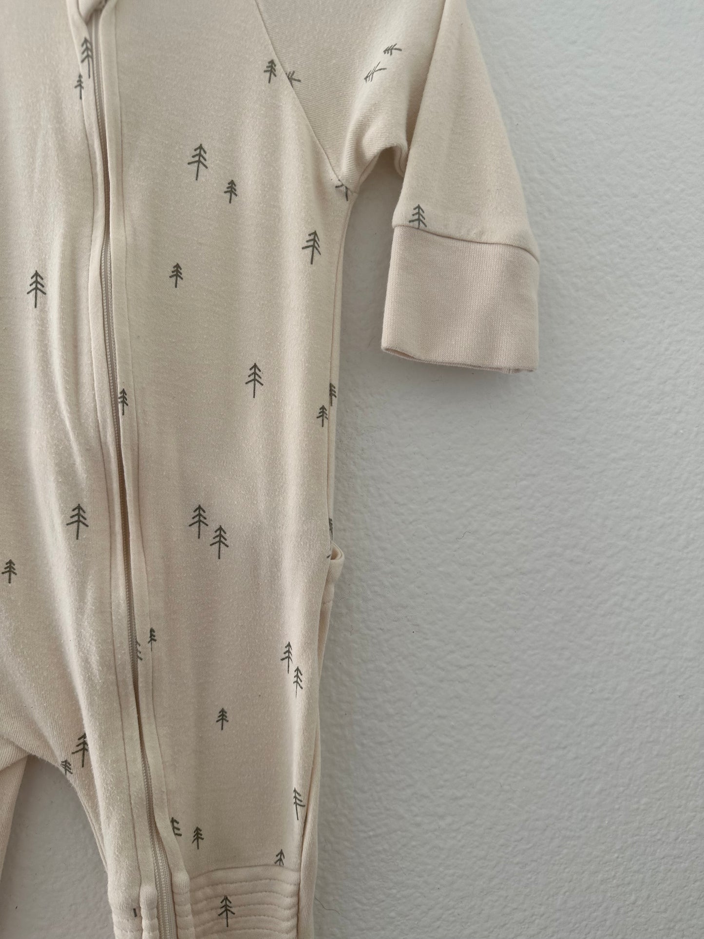 Goumi tree sleeper (6/12)