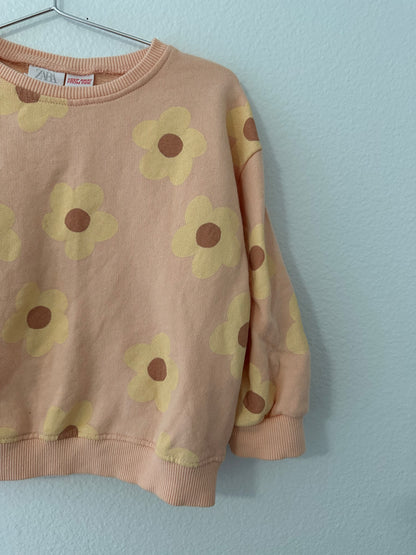 Zara daisy set || 18/24