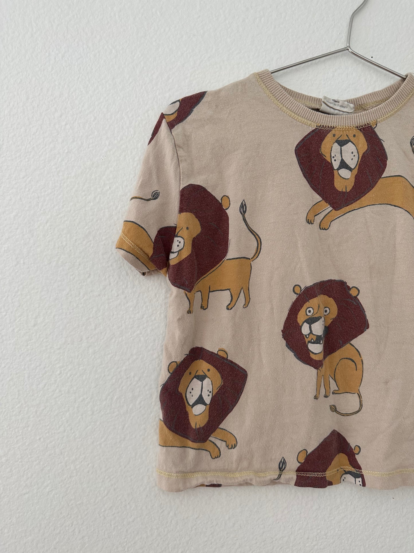 Zara graphic tee (2/3)