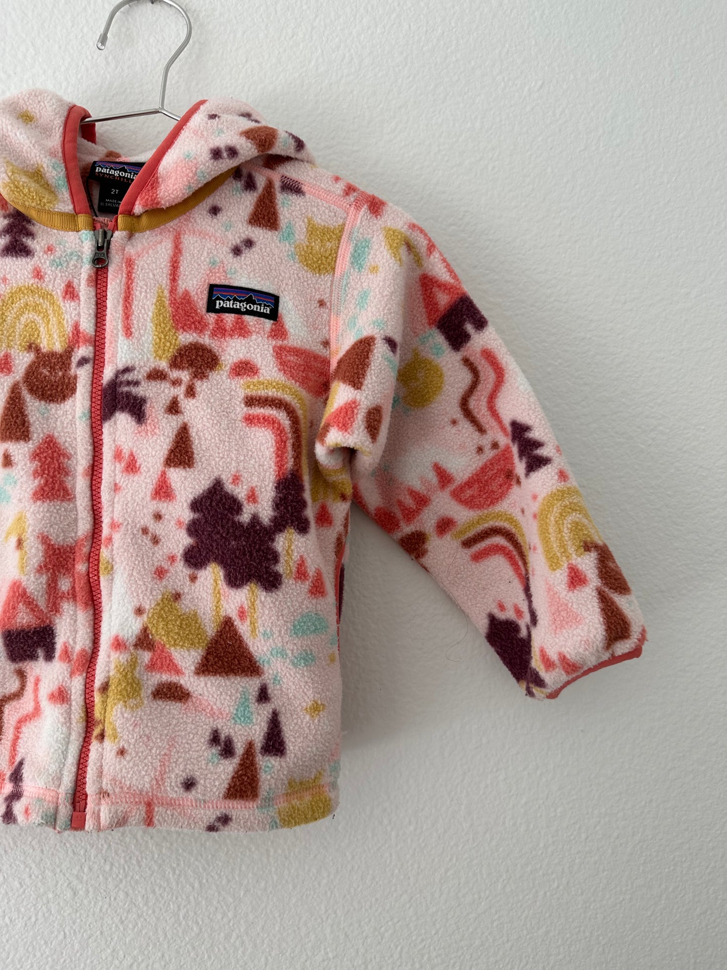 Patagonia synchilla fleece (2T)