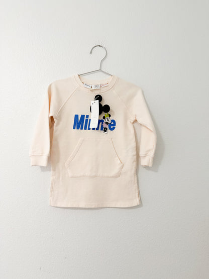 Zara Disney dress (12/18)
