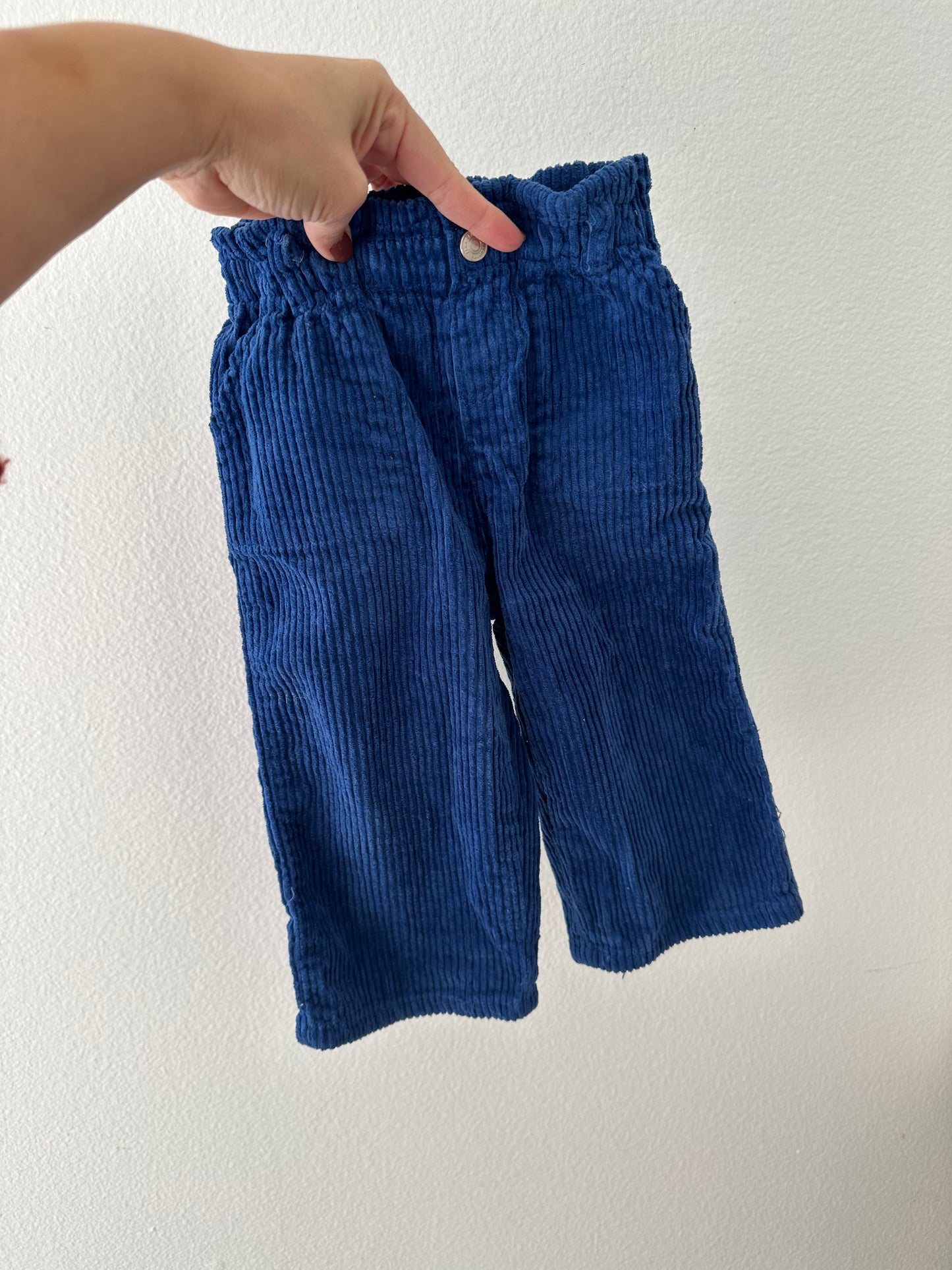Zara blue corduroy wide leg pants ( 18/24)