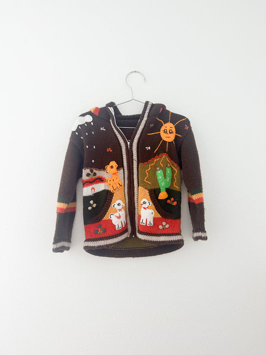Embroidered Peruvian cardigan (5/6)