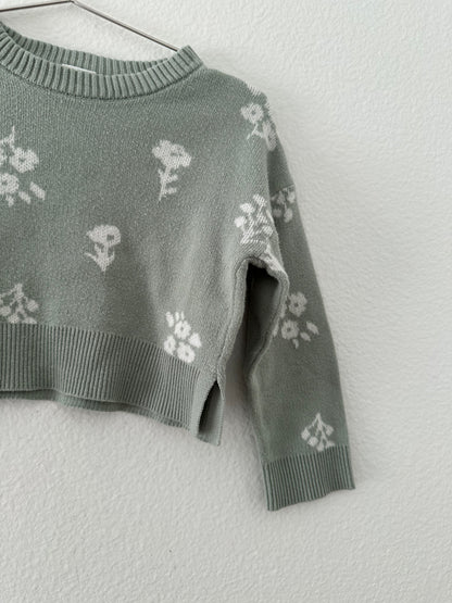 Modern moments floral knit set (2T)
