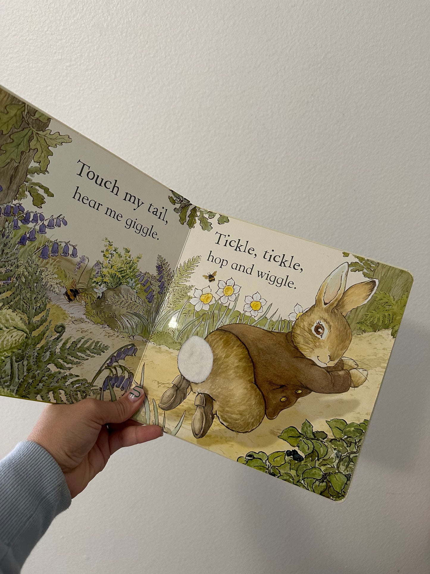 Petter Rabbit book