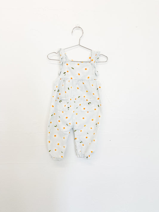 Angel dear daisies overalls|| 6/12