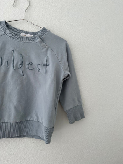 Jamie Kay wildest sweatshirt (2T)