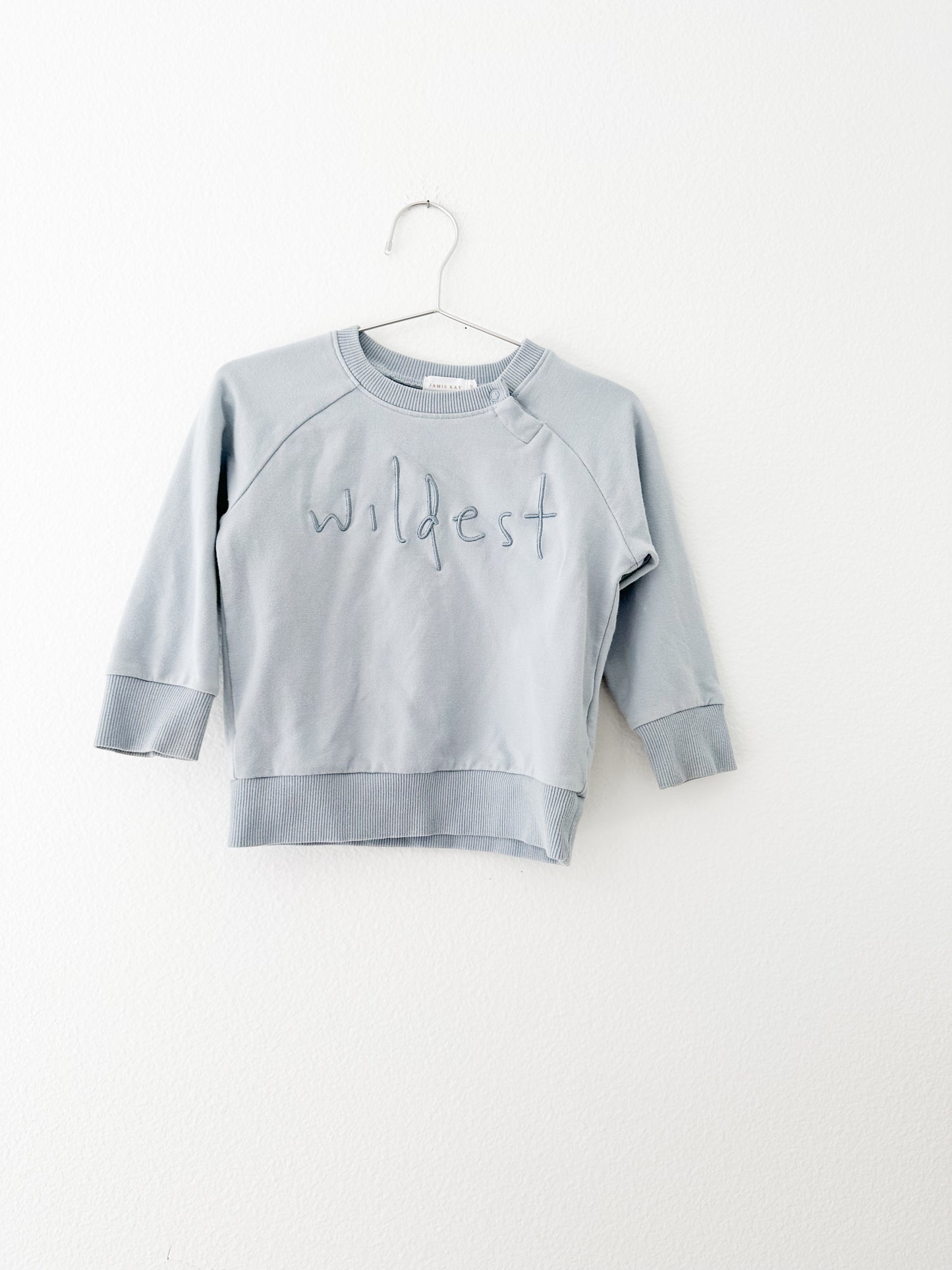 Jamie Kay wildest sweatshirt (2T)