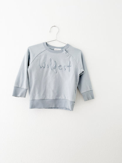 Jamie Kay wildest sweatshirt (2T)