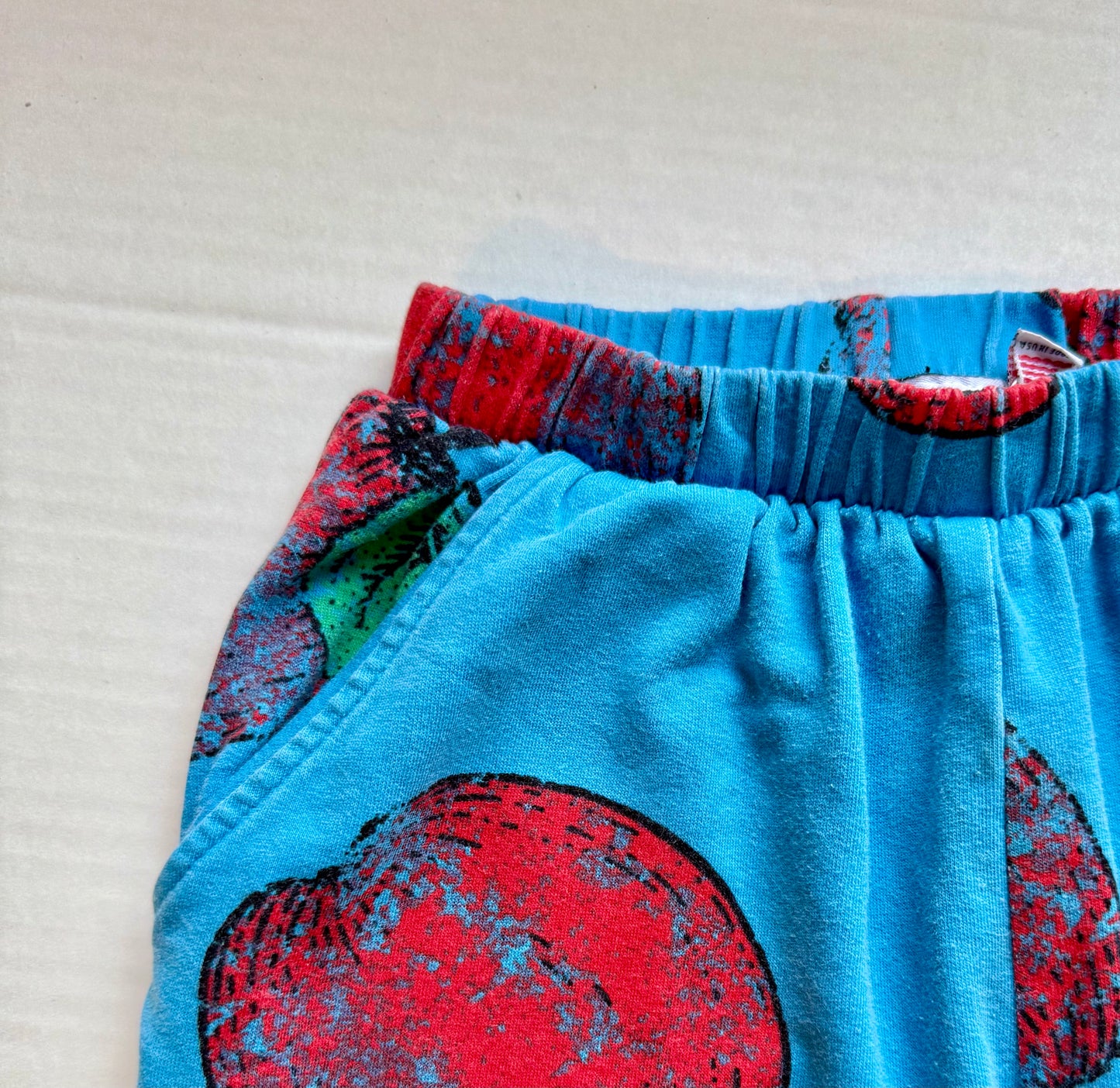 Quinn and Fox apple jogger|| Size 4-5T