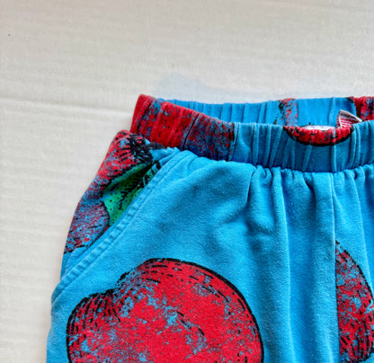 Quinn and Fox apple jogger|| Size 4-5T