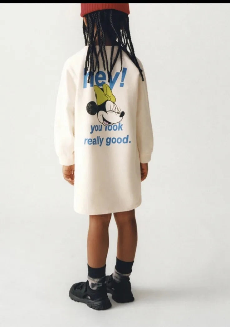 Zara Disney dress (12/18)