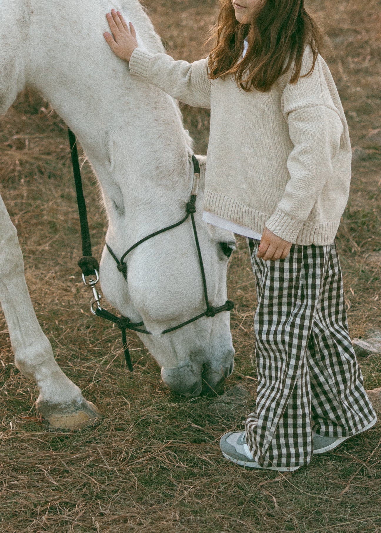 Fostered || brown gingham || size 3