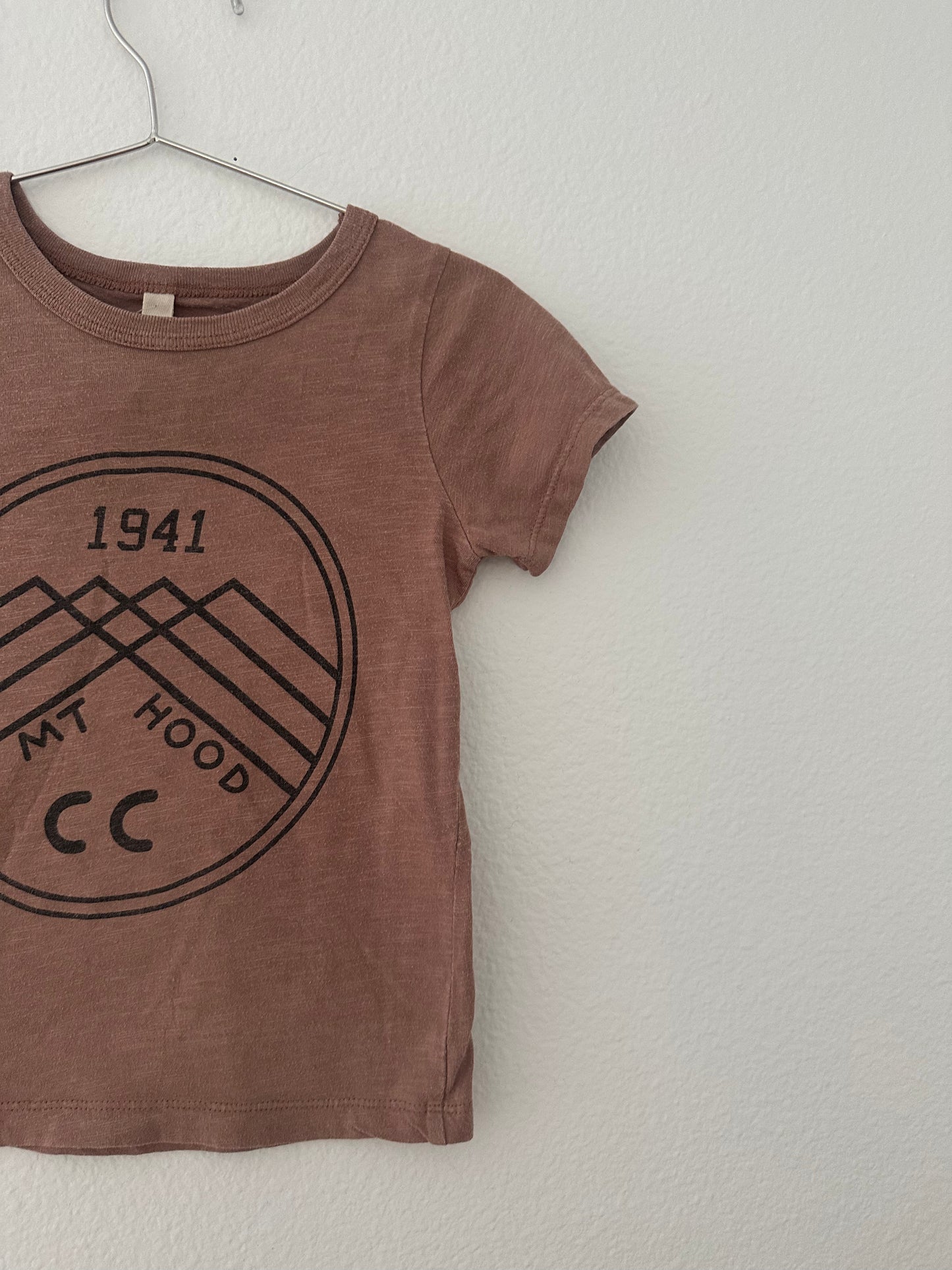 Childhoods mt hood tee (3T)