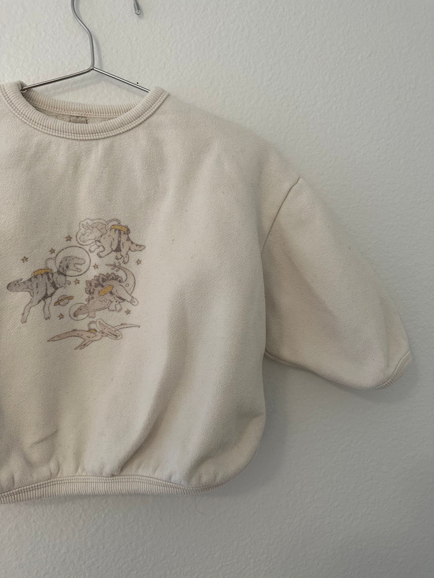 Story of la camel Dino sweatshirt (12/18) oversized