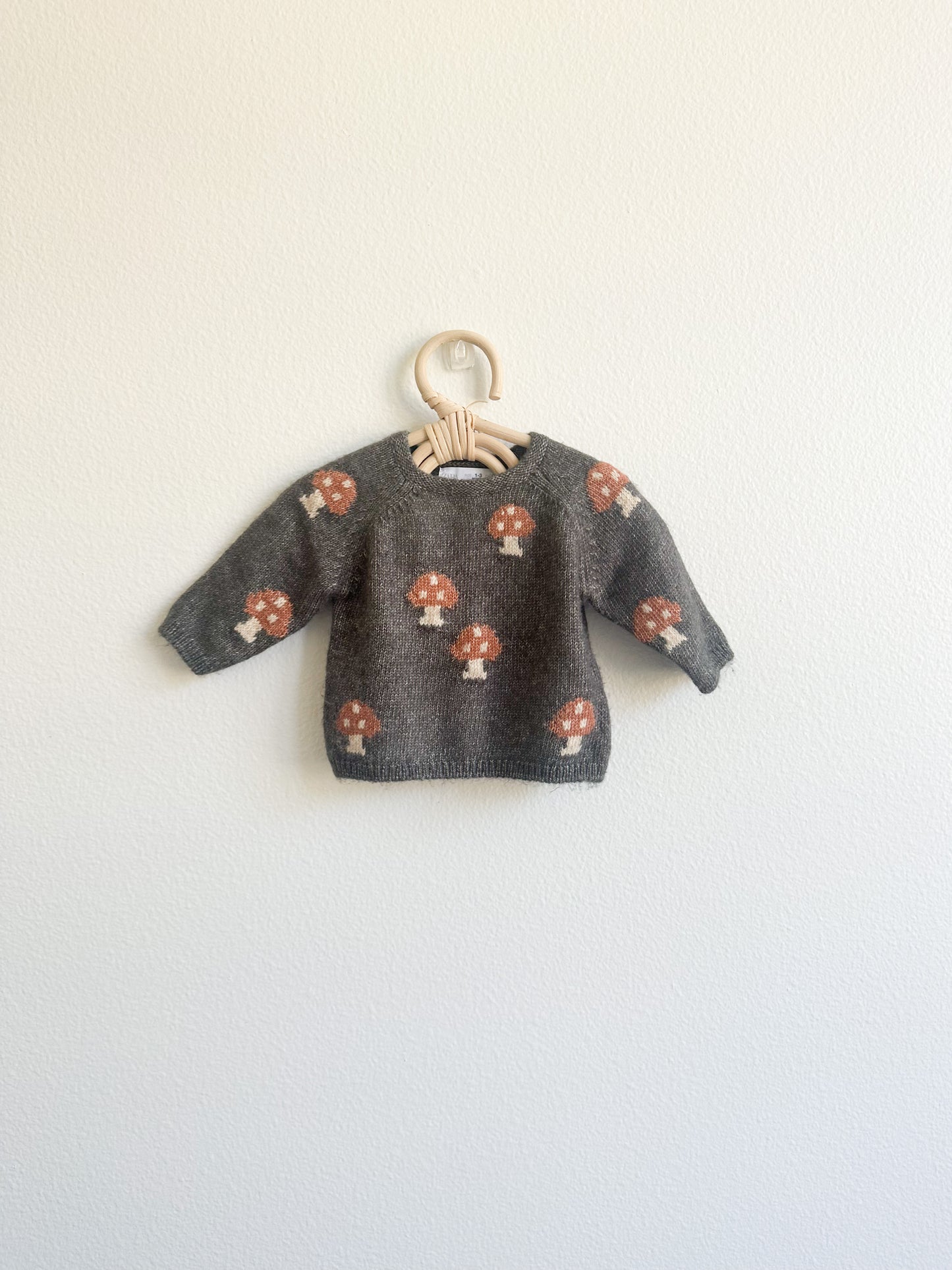 Zara HTF mushroom sweater (1/3)