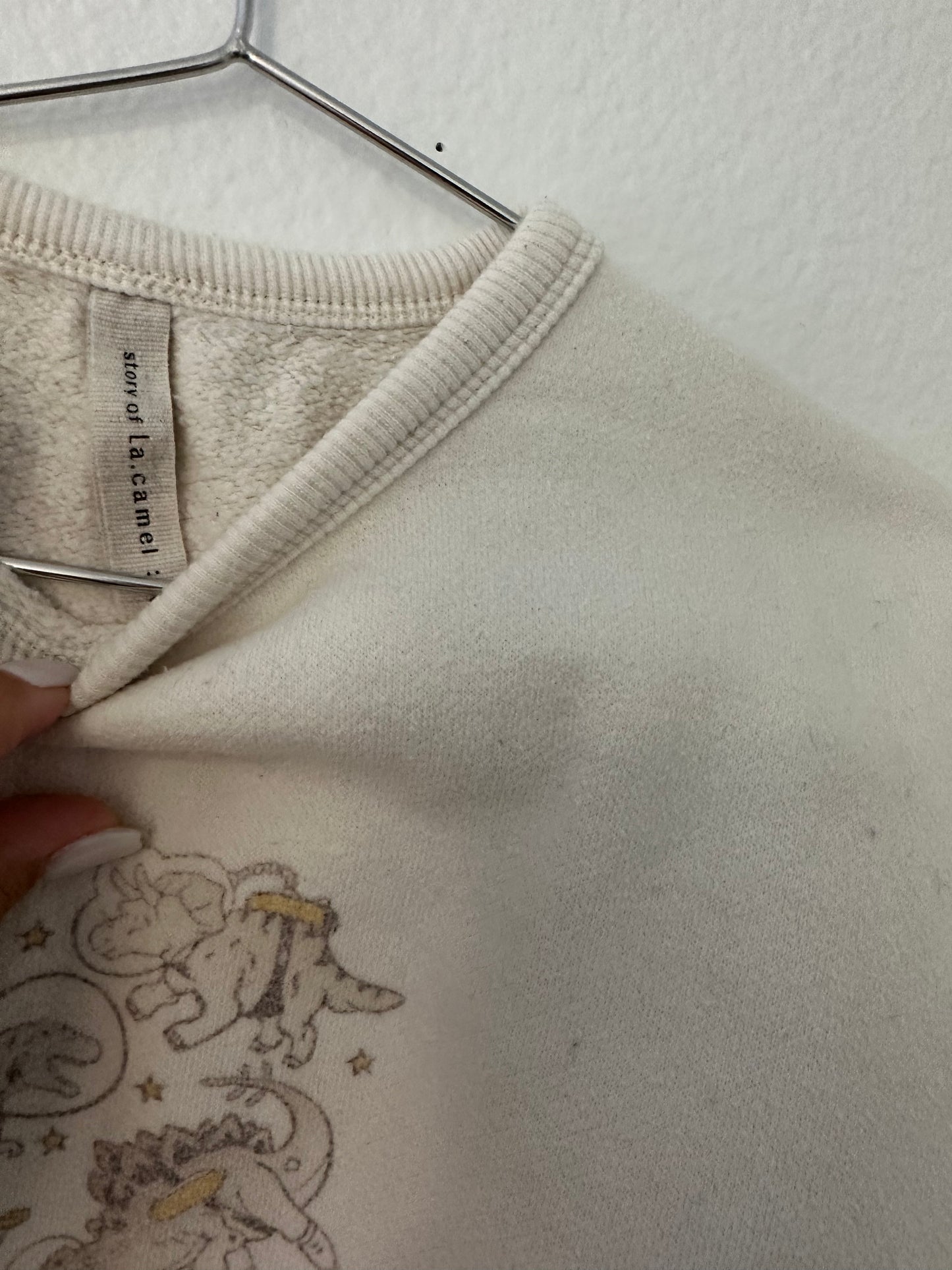Story of la camel Dino sweatshirt (12/18) oversized